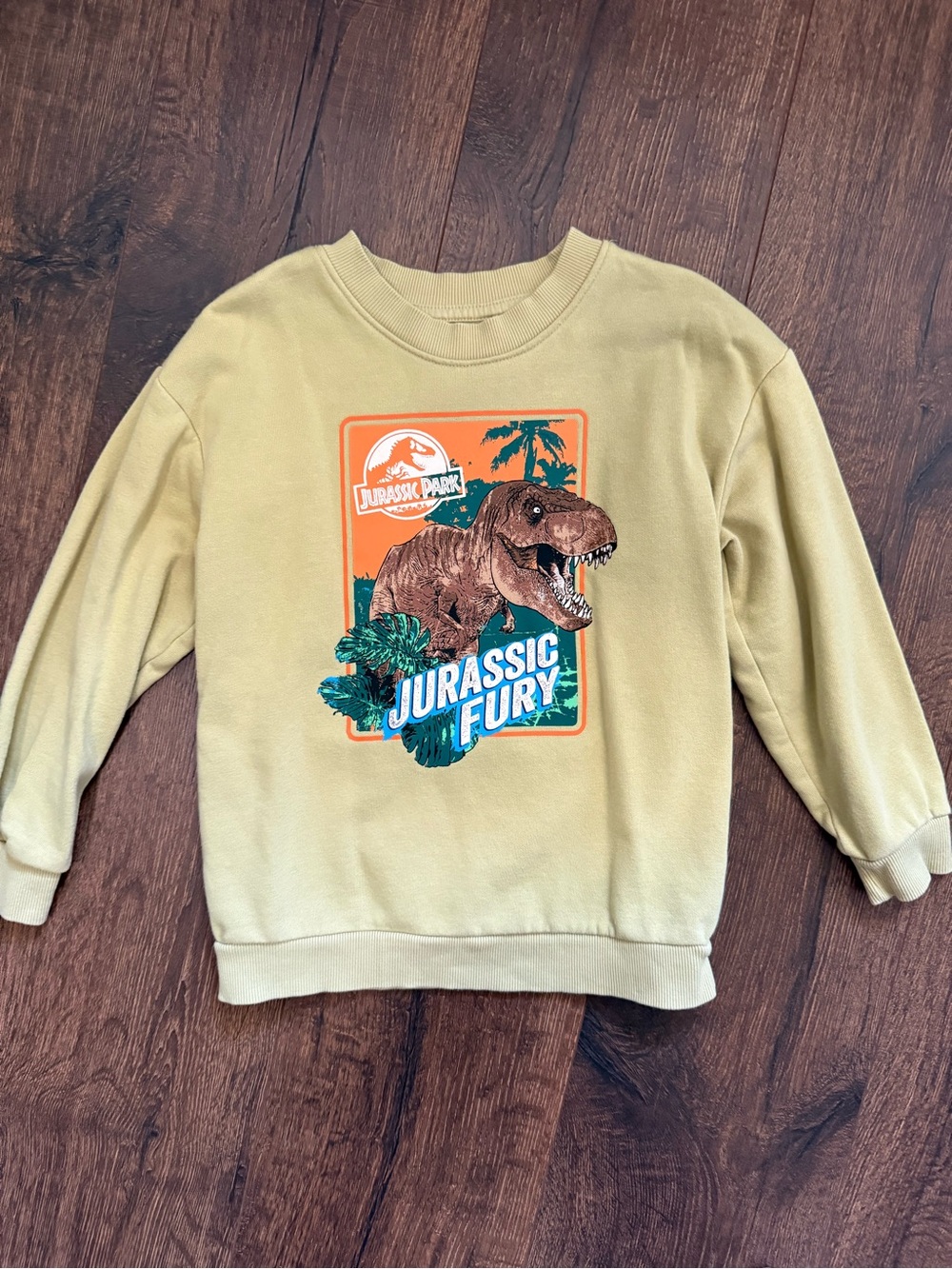 H&M Khaki color 'Jurassic Fury' Dino Graphic Sweatshirt